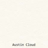 Austin Cloud